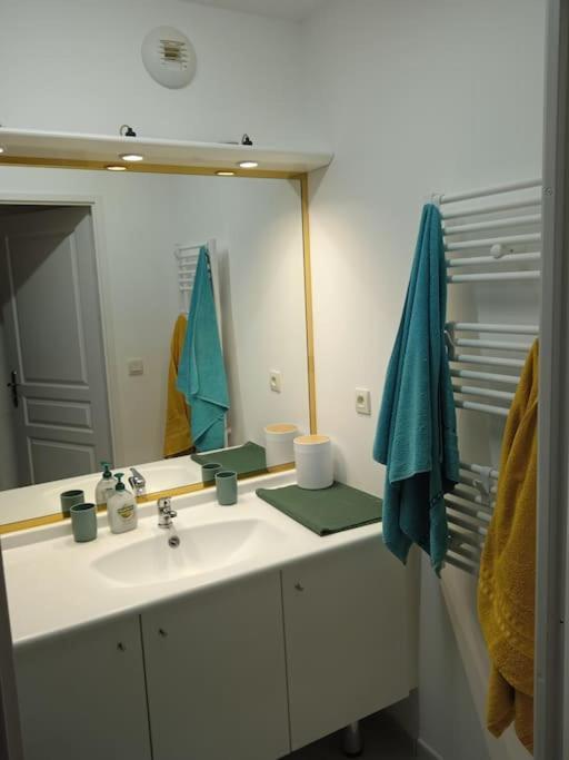 Apartment Avec Jardin Collioure